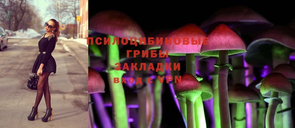 гидропоника Аркадак