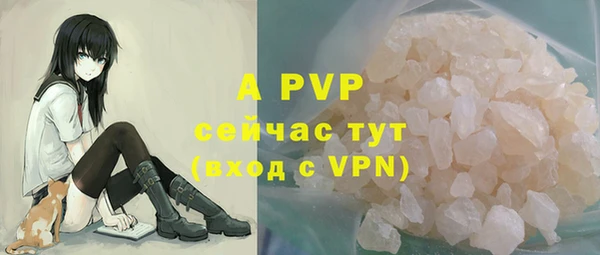 эйфоретик Арсеньев