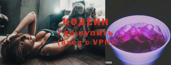 эйфоретик Арсеньев