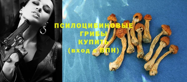 гидропоника Аркадак