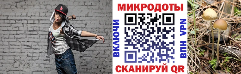 Галлюциногенные грибы Magic Shrooms Старая Купавна